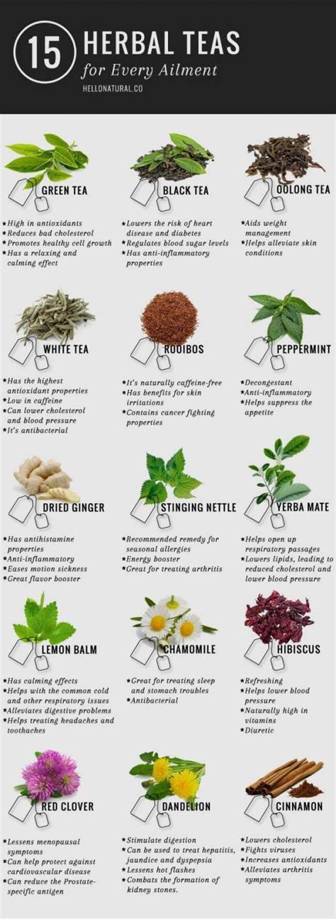 Medicinal Teas And Their Uses Charts And Recipes Tea Health Benefits