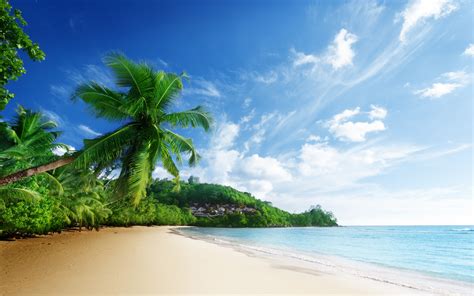 Nature Scenery Sea Beach Sky Clouds Palm Trees Ocean Tropical Wallpaper