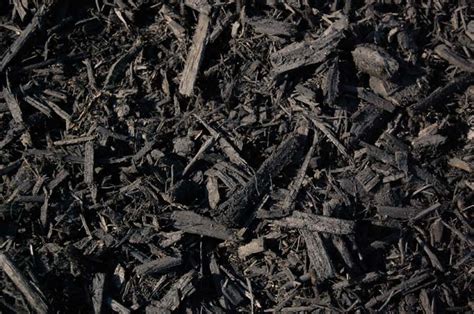 But, since black attracts and retains sunlight and heat, this mulch cannot be used in areas with delicate plants. Black Colored Mulch - Royalton Supply Landscape Center