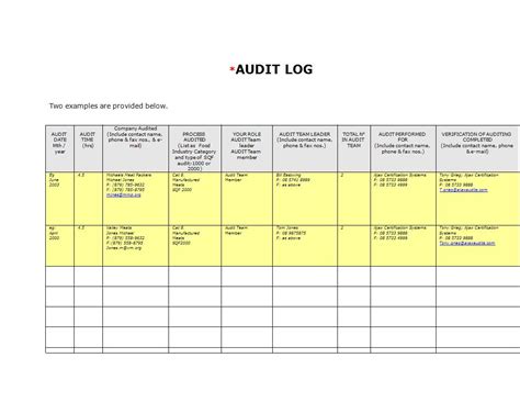 Excel Audit Log Template