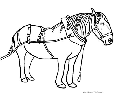 Draft Horse Coloring Pages Coloring Home