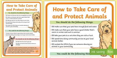 Caring For Animals Poster Protecting Animals Information