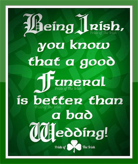 Being Irish Quotes Quotesgram