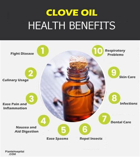 Clove/laung tea can be applied as a pronounced hair color refresher. Clove Oil History,Uses And Benefits For Healing