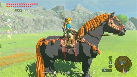 The Best Horses In Legend Of Zelda Breath Of The Wild