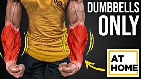 7 Best Forearm Workout With Dumbbells Forearm Workout Best Forearm