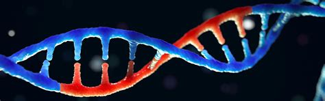 qué es y para que nos sirve conocer el genoma humano cátedra de derecho y genoma humano