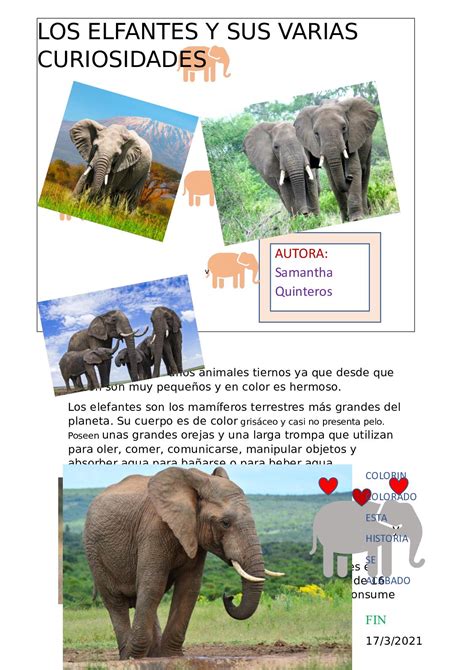 Calaméo Historia De Los Varios Tipos De Elefantes Calaméo