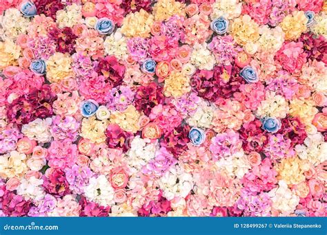 Flower Texture Flower Wall Stock Image Image Of Floral White 128499267