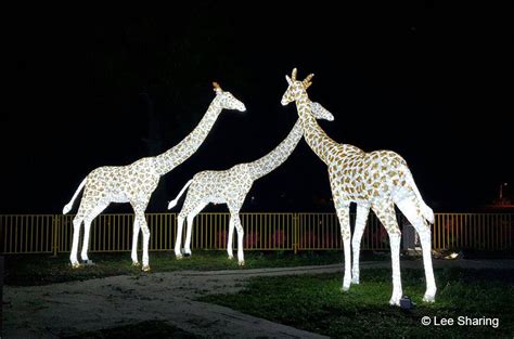 Ceased operation by 7 september 2017. Attraction
