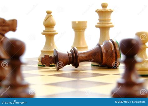 Check Mate Stock Image Image Of Mate Knight Game Board 25879105