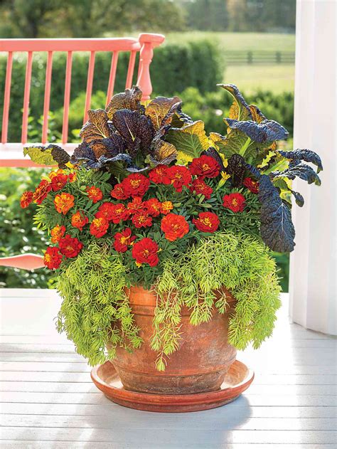 35 fall container gardening ideas