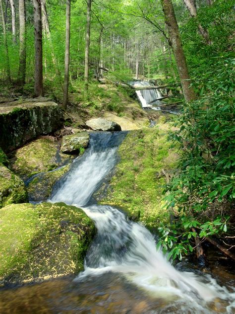 Free Images Landscape Nature Forest Waterfall Hiking Trail