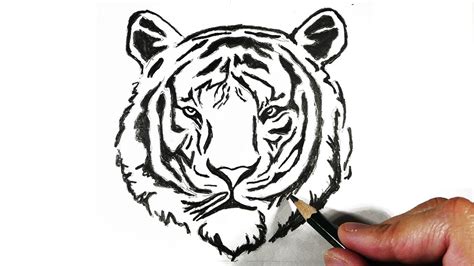 Cómo dibujar un tigre con lápiz fácil paso a paso explicado YouTube