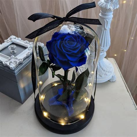 Sapphire Blue Preserved Beauty And The Beast Rose In Glass Dome