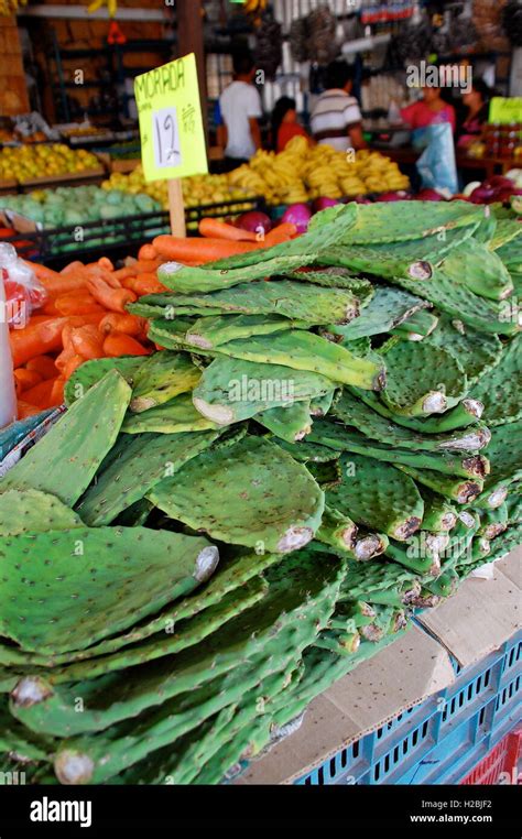 Edible Cactus High Resolution Stock Photography And Images Alamy