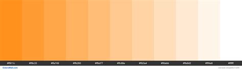 Shiny Orange Colors Palette Colorswall