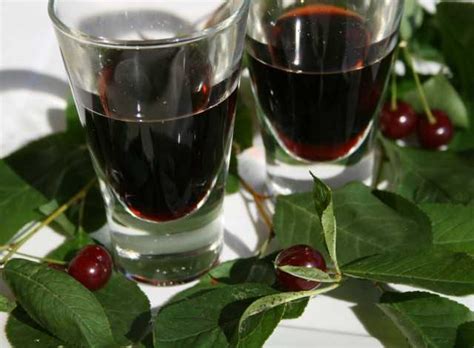 Prepararlo è facilissimo e vi bastano pochi ingredienti: Visciolata fatta in casa - Idee Green