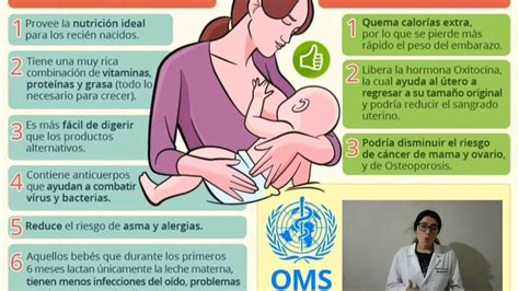 Beneficios De La Lactancia Materna YouTube