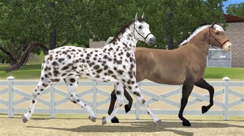 Sims 3 Horses Youtube