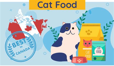 The 9 Best Cat Foods In Canada Wet And Dry In 2024