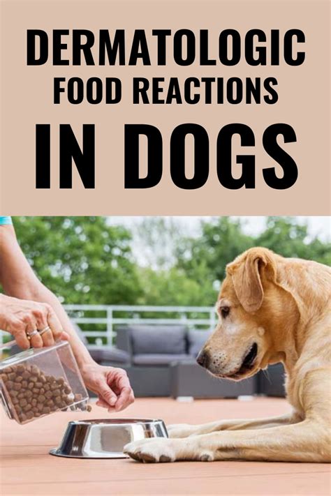 We buy, test, review and rank pet products to help you avoid the bad stuff and purchase only what's best for you and your dog. Dermatologic Food Reactions in Dogs | Hypoallergenic dog ...