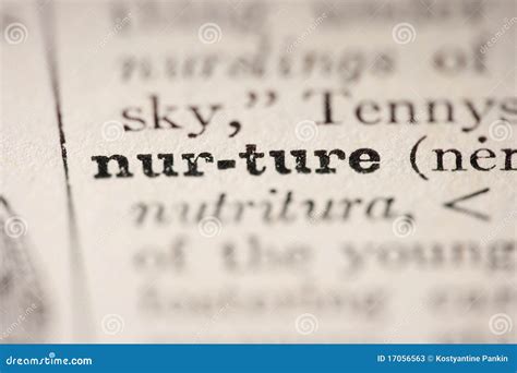 Word Nurture Stock Image Image Of Learn Gain Page 17056563