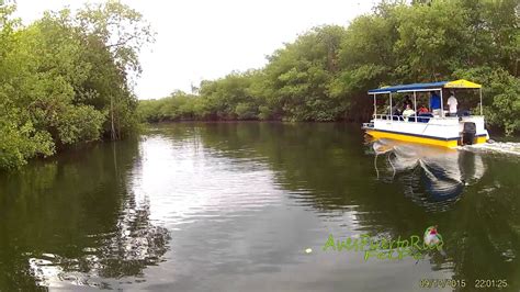 Recorrido Por El Río Espíritu Santo En Rio Grande Puerto Rico Turismo Youtube