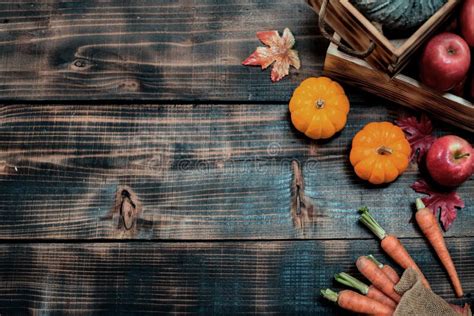 Fall Harvest Cornucopia Autumn Season With Fruit And Vegetable Stock