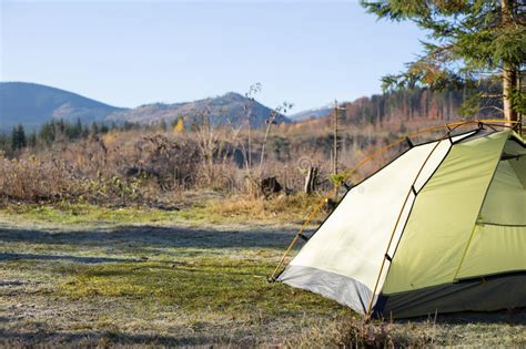 Camping Area With Multi Colored Tents In Forest Stock Photo Image Of