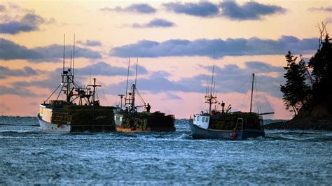 More Nova Scotia Lobster Fishermen Head Out As Season