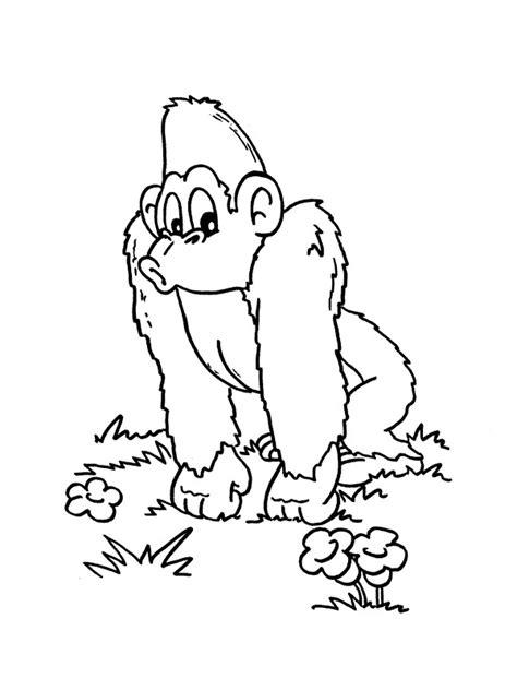 Monkey Coloring Page Animal Coloring Page