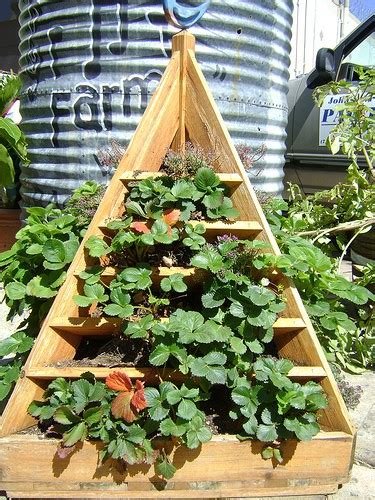 Last i planted the planters with some seeds. How to Build a Strawberry Planter: Tips and Plans