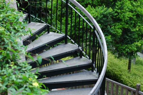 Curved Wooden Stair Case Picture Image 2829957