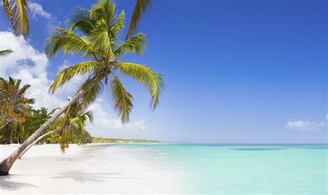Top 5 Mejores Playas De República Dominicana