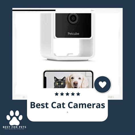The Best Cat Cameras 9 Best Sellers
