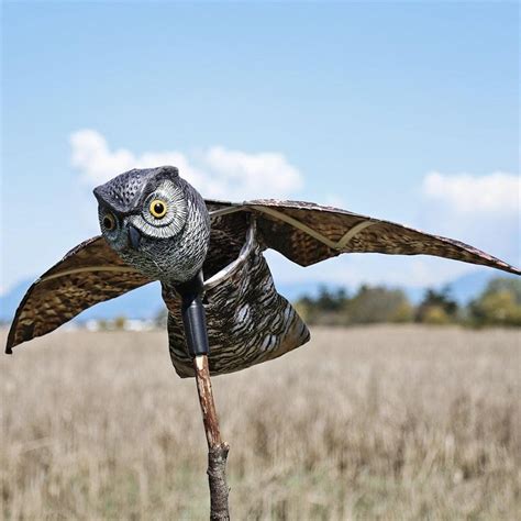 Buy Flying Owl Decoy Pest Control Garden Mice Scarer
