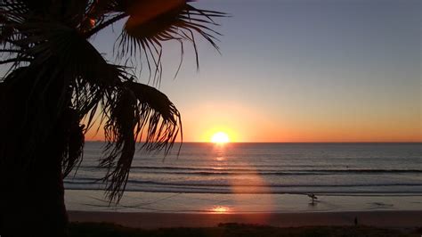 Pacific Beach California Sunset 1 Hour Palm Tree View 4k