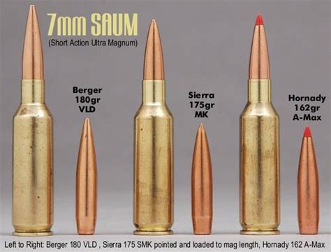 7mm Rem Saum 180 Berger 175 Sierra 162 A Max Reloading Ammo