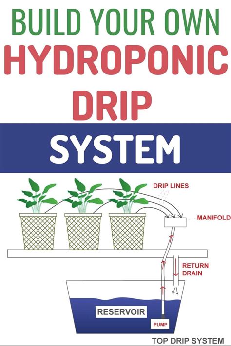 Diy Dutch Bucket Hydroponic System Free Plans