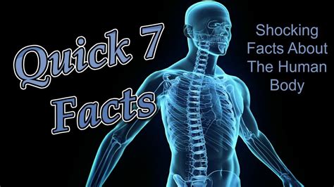 7 Shocking Facts About The Human Body Youtube