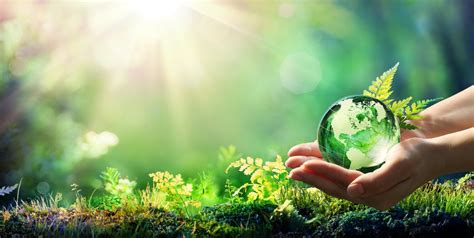 Submissão De Artigo Para 14ª Semana Internacional Do Meio Ambiente Vai Até 25 De Maio