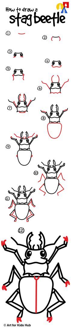 14 Best How To Draw Insects Images Drawing Lessons How To Draw