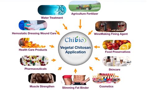 Vegetal Chitosan Chibio Biotech Manufacturer Of Vegetal Chitosan Fungal Chitosan Natural