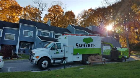 Lawn Care For Condos And Commercial Properties Savatree