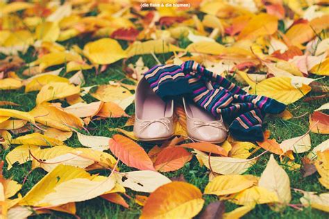 Autumn Days When The Grass Is Jewelled And The Silk Insi Flickr
