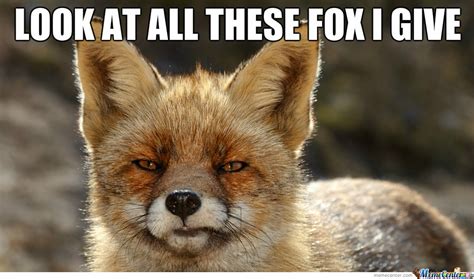 Look At All These Fox I Give By Jimivanov Meme Center