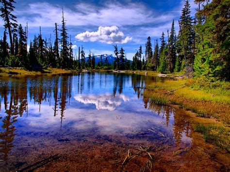 Lost Lake By Charles And Patricia Harkins Picture Oregon Redbubble