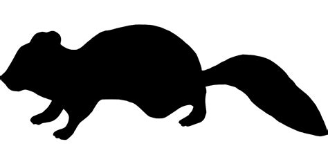 Tanpa rawatan, leptospirosis boleh menyebabkan kerosakan buah pinggang. SVG > mamalia haiwan tikus chipmunk - Imej & Ikon SVG ...