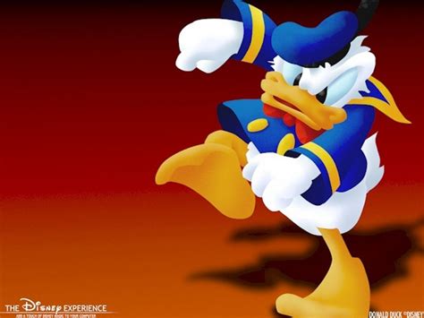 Donald Duck Wallpaper 57 Images